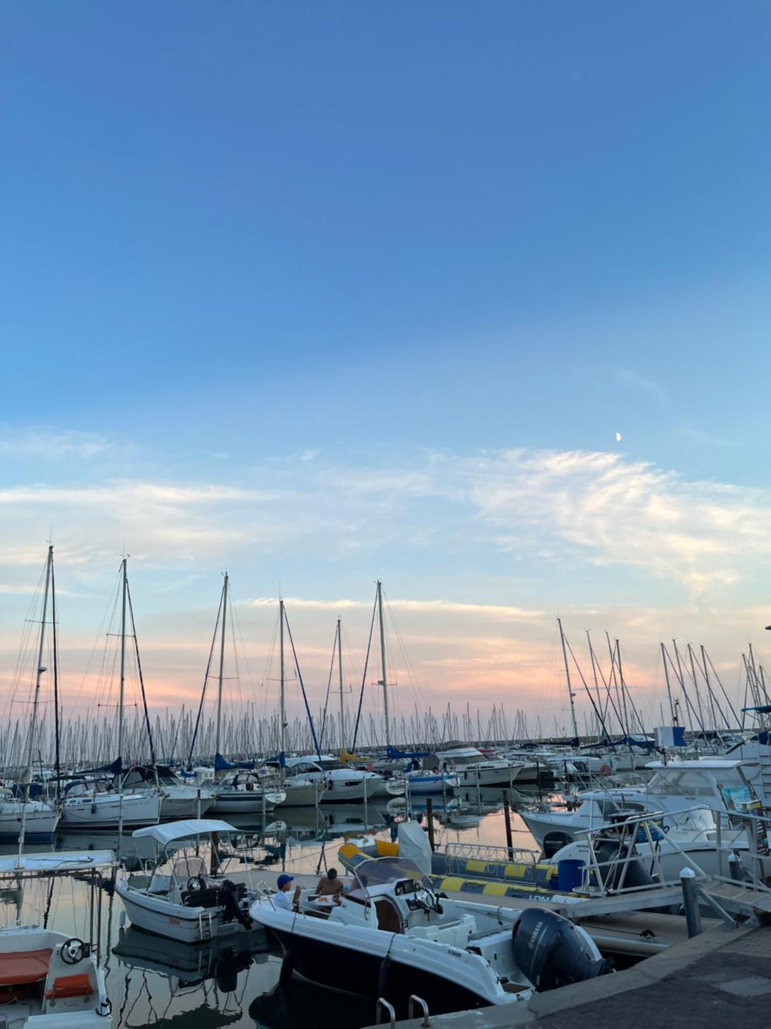 Hirondelle De Montpellier Daire Dış mekan fotoğraf